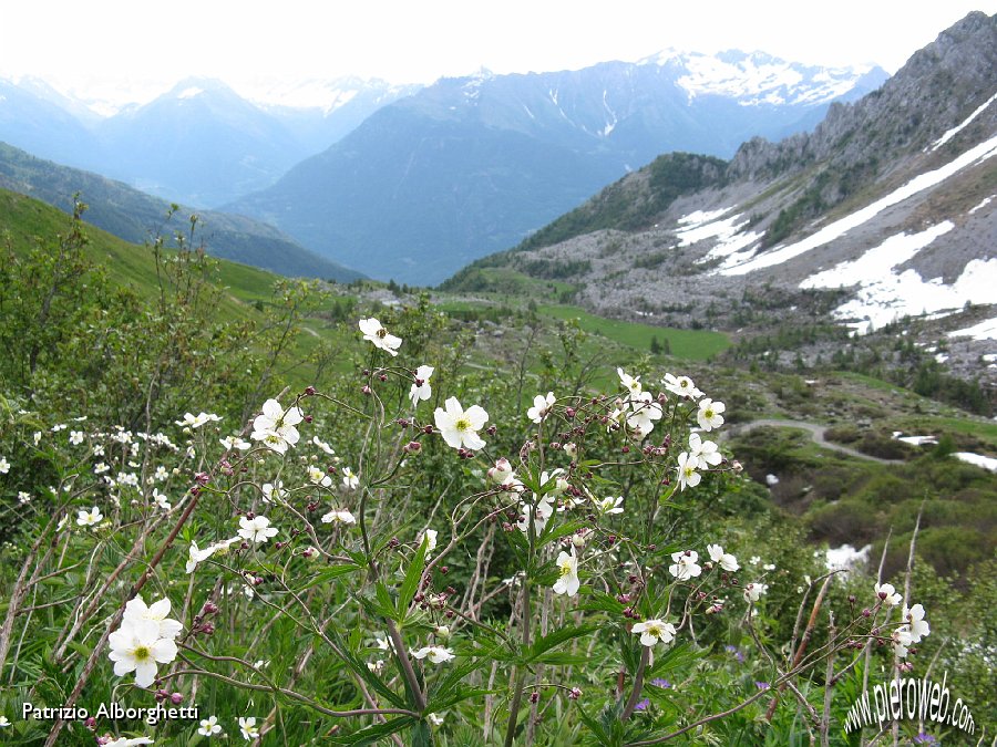 04-Conca Plauzenti,verso la val Camonica.JPG